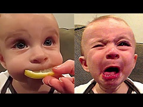 Best Funny Video In The Whole World Funny Kids Youtube Best Funny Video In The Whole World Funny Kids Youtube