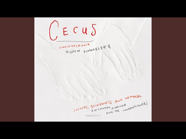 Bjorn Schmelzer/Graindelavoix - Cecus non judicat de coloribus Part II