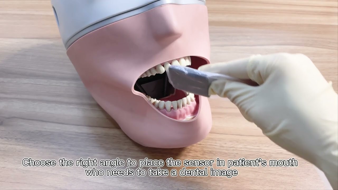 Process of using Handy Digital Dental X ray imaging system HDR-500