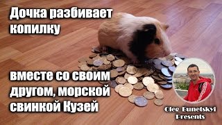 Разбиваем копилку, дети, Морская свинка КУЗЯ, Приключение Разбиваем копилку, дети, Морская свинка КУЗЯ, Приключение
