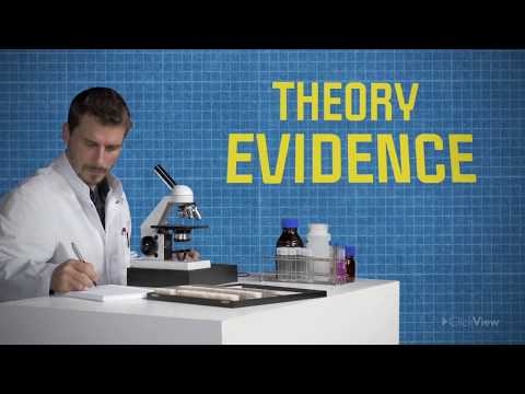 Scientific Theories