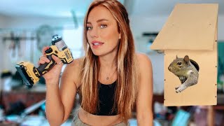 Girl Builds a House for her Pet Squirrel! DIY simple how-to project w/ limited tools