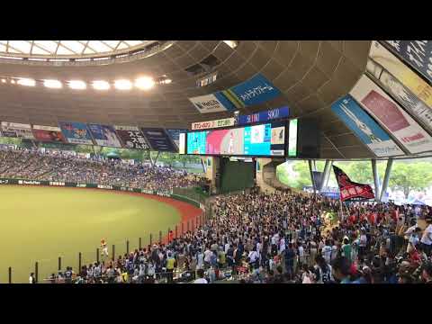 20180818 北海道日本ハムファイターズ試合前1-9