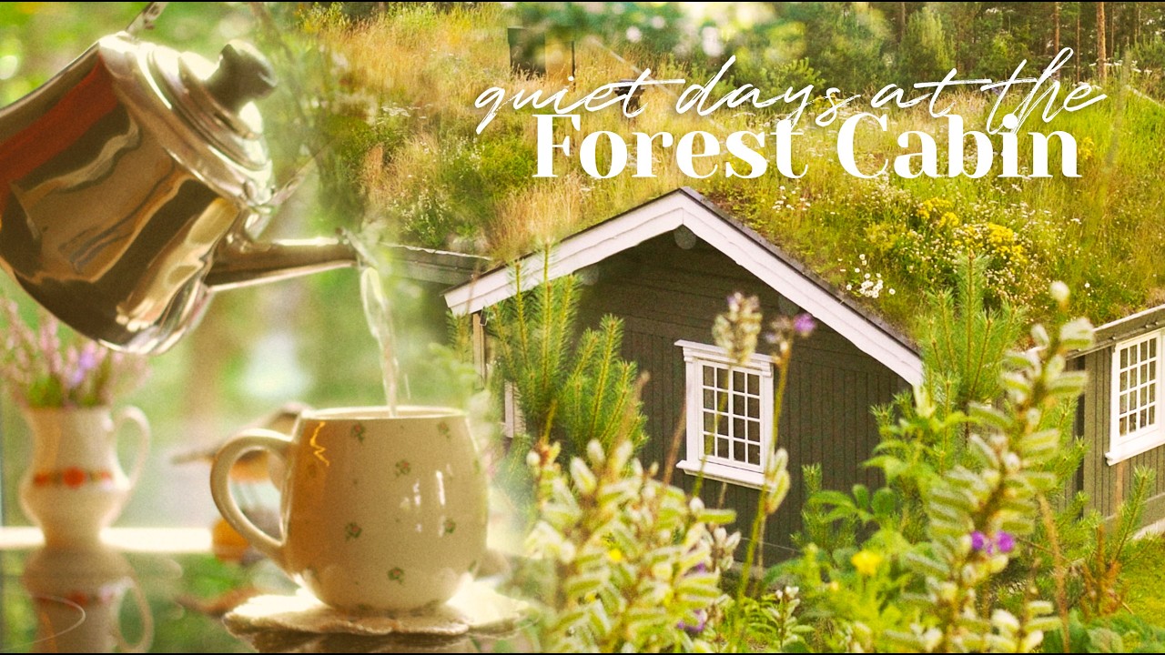 A Quiet Day with Forest Visitors, Cozy Baking and Making Art at the Cottage in the North