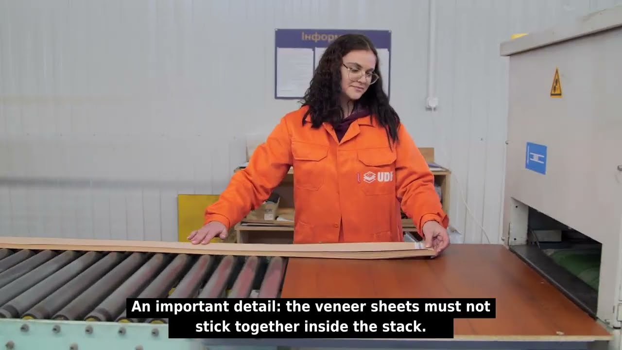 Veneered Panel Manufacturing | Part 3 – Separating Veneer Sheets Before Joining