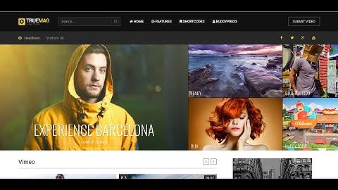 True Mag - WordPress Theme for Video and Magazine |  Video portfolio and Vlog WordPress Theme