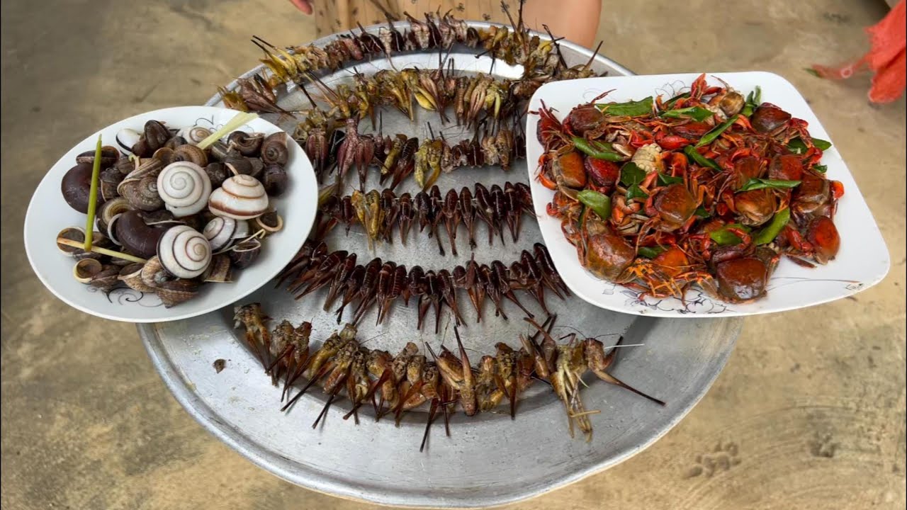 BỮA CƠM GIA ĐÌNH TOÀM MÓN ĐẶC SẢN CÔN TRÙNG - Bùi Văn Trọng