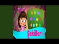 Şekilleri 