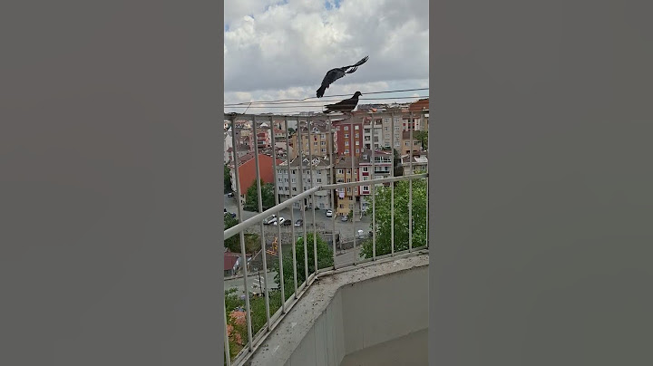 Allah'ın dilsiz kullarının aç ve susuz kalmasını isteyenleri Allah'a havale ediyorum (vicdansızlar )