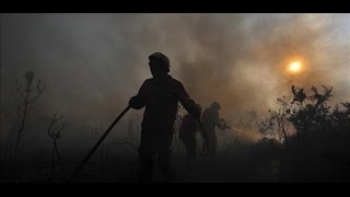 UME, bomberos y brigadas trabajan a contrarreloj en más de diez incendios