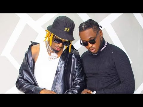 Diamond ft kabusha  hapana official video