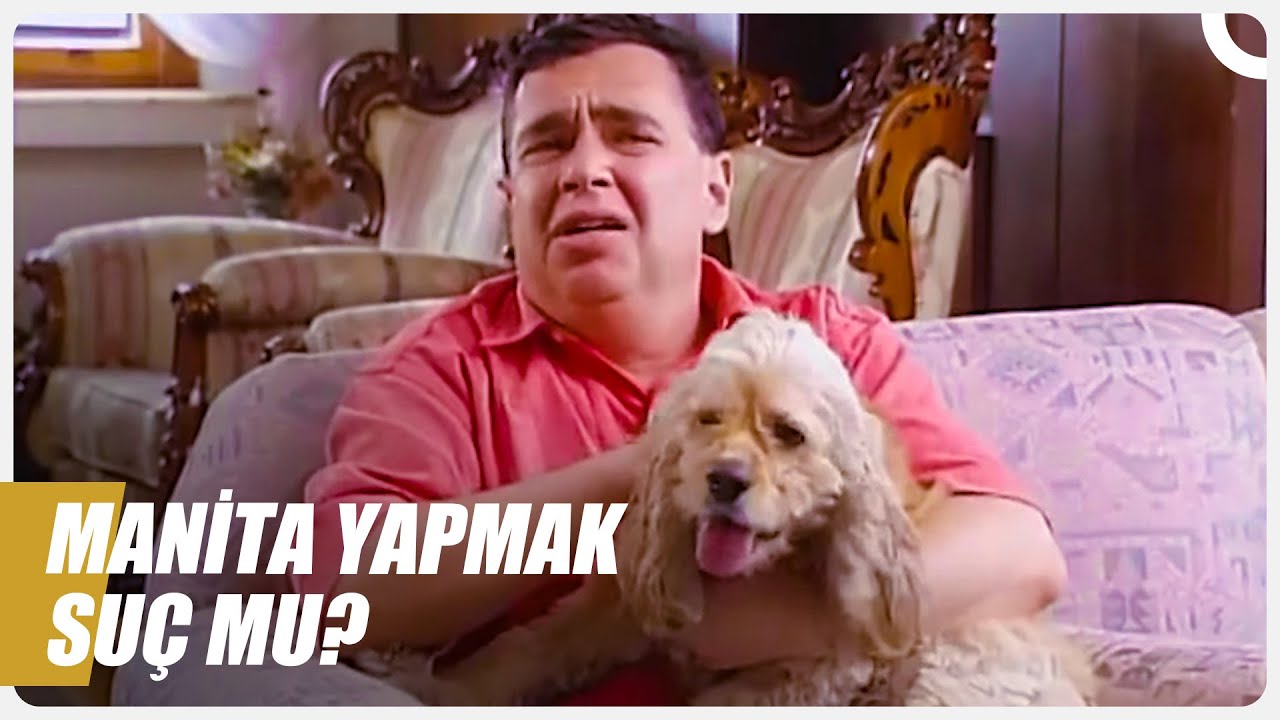 Çapkın Halis İş Başında | Bizimkiler Özel Sahneler