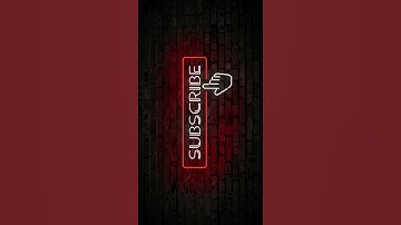 🤩cute cat playing fetch🤩