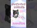 二人の動画は全力で可愛く編集します！！#ピグパ #ピグパーティー #ピグパ民と繋がりたい #ゲーム #ガチャ #shorts 【ピグパ】