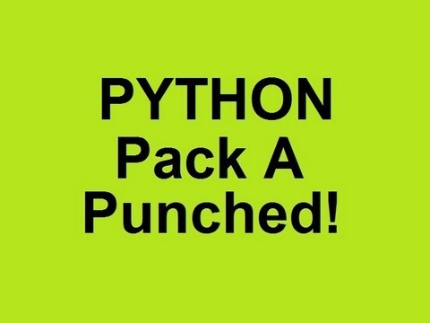 Black Ops 2 Zombies- PYTHON Pack A Punched! | Wrighty