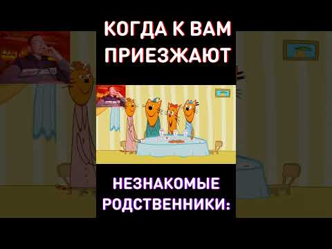 Братик RYTP Три Кота