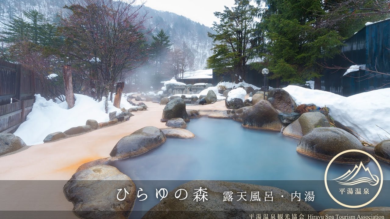 ひらゆの森の露天風呂 内湯 平湯温泉 山岳温泉郷 Youtube