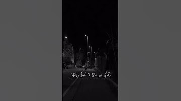 القارئ عبدالرحمن مسعد | راحة نفسية #قرآن