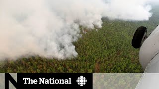 Siberia is normally one of the coldest places on earth, but a recent
heat wave stoking large forest fires and raising concerns about what
it signals for c...