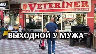 видео: Живём на даче в Турции/выходной у мужа/копает с утра пораньше/Рыжика к ветеринару/проведали квартиру картинка: Живём на даче в Турции/выходной у мужа/копает с утра пораньше/Рыжика к ветеринару/проведали квартиру