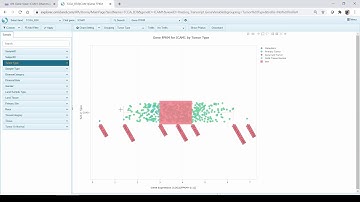 Generate survival curve based on mutation status of a gene using QIAGEN IPA