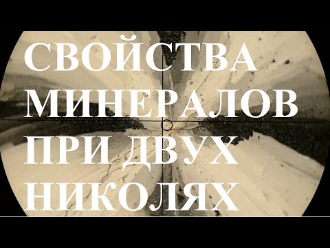 Видео: Какви са били идеите на философите?