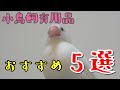 【厳選】これは買っておきたい小鳥飼育用品の紹介！　java sparrow