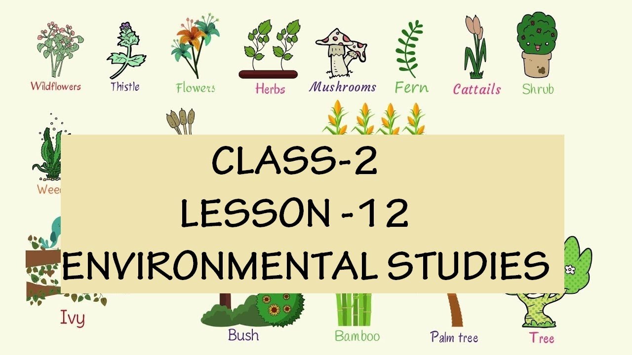 CLASS2 ENVIRONMENTAL STUDIES YouTube