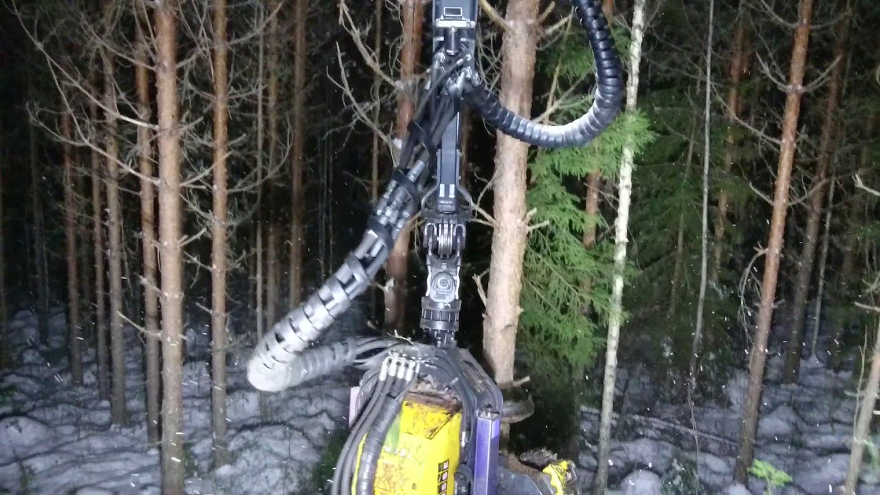 Mänty EH pimeässä. ponsse scorpion king h7