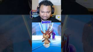 Hatching 30 Eggs A Day Until Each Grass Starter Pokemon Is Shiny!