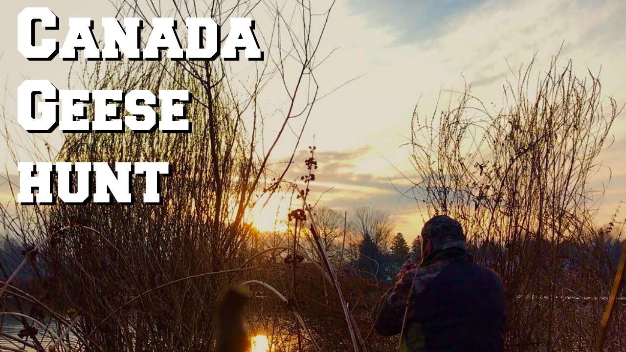 Got Goose Indiana Goose Hunt 2017 Episode 7 YouTube