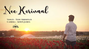 Nee Korinaal | Violin Cover | Yedu Krishnan Violin | Alwin James | 180 | Siddharth | Priya Anand