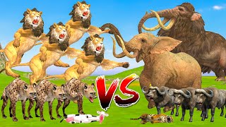 3 Giant Buffaloes attack Lion to Rescue Cow Cartoon Saved by Woolly Mammoth Elephant Vs Giant Tiger!