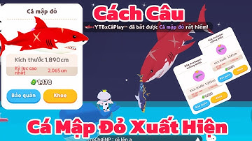 (Play Together) Cách Câu CÁ MẬP ĐỎ Và RÙA Quái Vật Xuất Hiện Nhiều