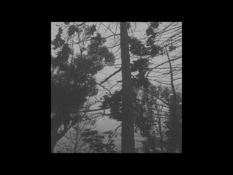 Flora - Flora (Full Album)