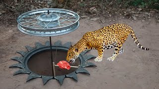 Installing Quick Powerful Tiger Trap Using Motorcycle  Wheel Fall On Deep Hole