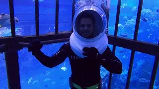 Dubai Aquarium Shark Walker (Cage)