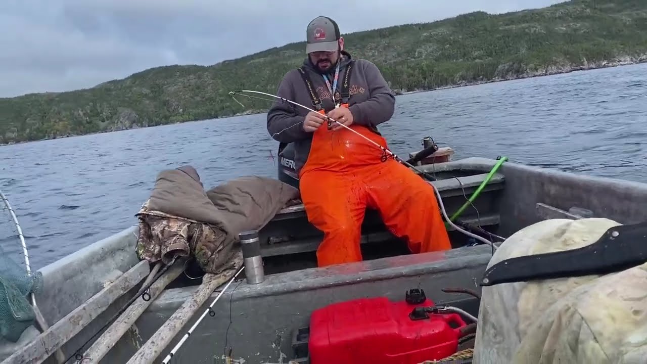 «Ловля трески в Ньюфаундленде | Удивительный день, посвященный ловле рыбы, миграции скумбрии и мо...