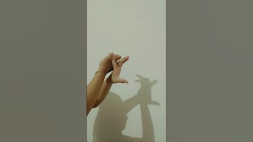 hand shadow tricks/rabbit shadow with hands🙌👀 #viralreels#trending#handshadow#tricks #shorts#rabbit