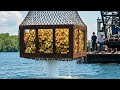 💰 Massive Ocean Treasure: Hundreds of Millions in Gold Discovered