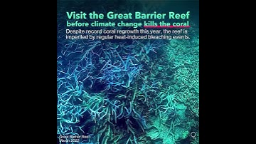 Visit the Great Barrier Reef Before Climate Change Kills the Coral