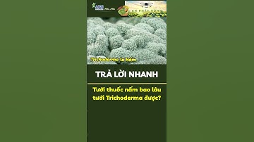 APN - Tưới thuốc nấm bao lâu tưới trichoderma được? #apnhoamau