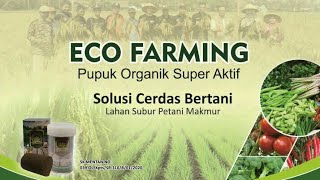 KEUNGGULAN PUPUK ECO FARMING | 081324817779