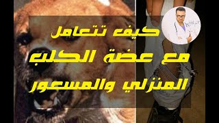 #18 كيف تتعامل مع عضة الكلب🐶 (المنزلي والمسعور) من الألف إلى الياء