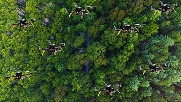 Forest search-and-rescue