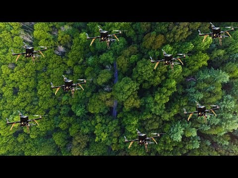 Forest search-and-rescue