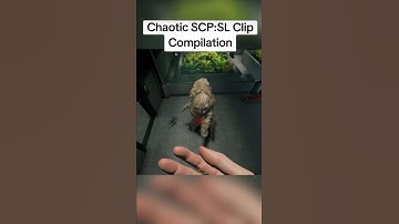 my Lobotomy filled SCP:SL Clip compilation #scpsl #scpslfunnymoments #fyp #scp #scpfunny #scpshorts