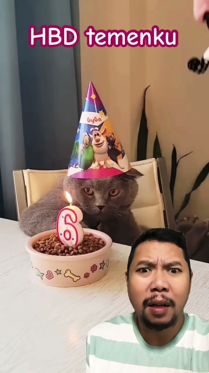 MET ULTAH KUCINGKU SAYANG!!!??