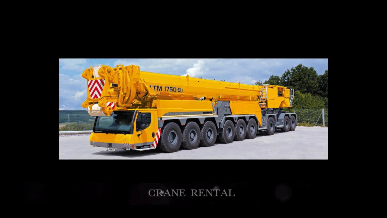 Crane Rental Company
