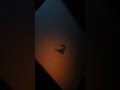 AFTERSHOCKPC | GIGABYTE AORUS 16X LAPTOP